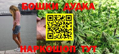 МДПВ Гатчина