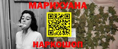 МДПВ Гатчина