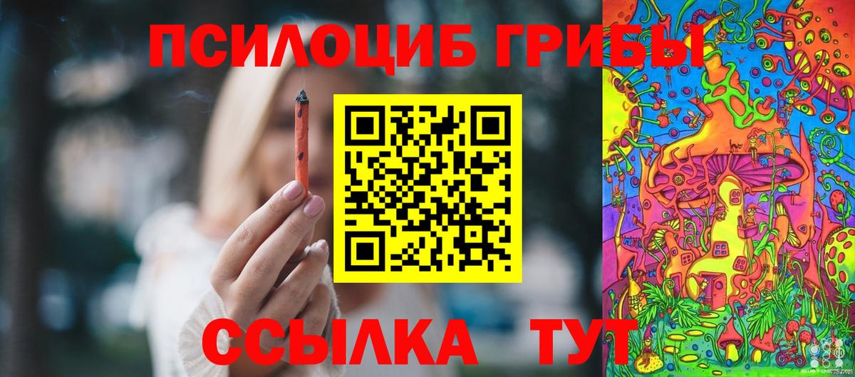Галлюциногенные грибы Psilocybine cubensis  Вход с VPN  Галлюциногенные грибы мицелий  Нижневартовск 