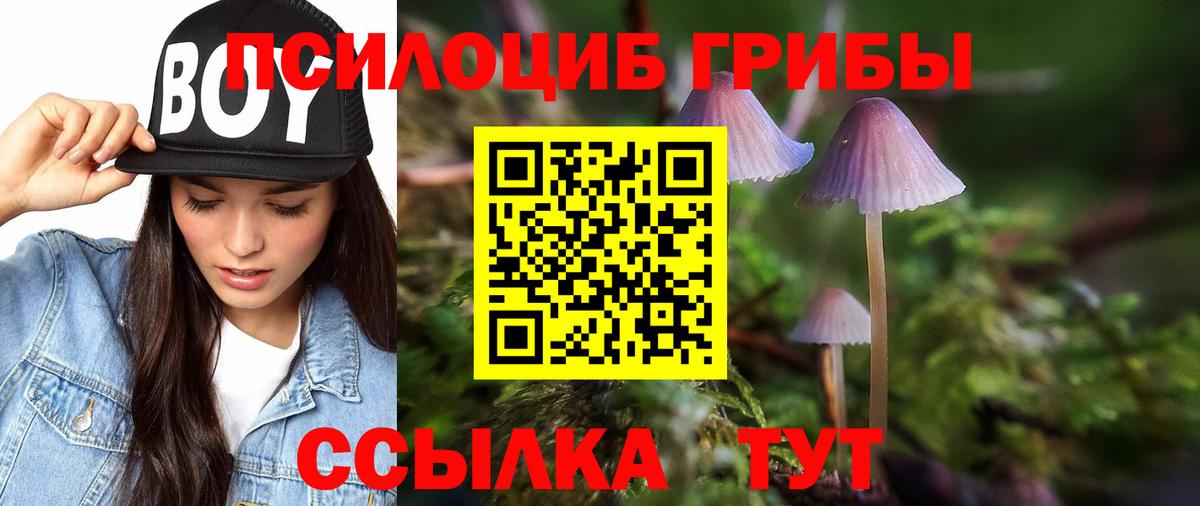 Галлюциногенные грибы Cubensis Нижневартовск